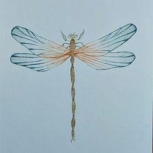 Mijn project van de cursus: Naturalistische tekeningen en composities maken met aquarel. Projekt z dziedziny Malowanie akwarelą użytkownika e.rozendaal - 23.01.2023