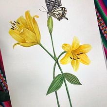 Mi proyecto del curso: Ilustración naturalista con gouache y acuarela . Arte plastice, Pictura, Pictură în acuarelă, Ilustrație botanică, Ilustrație naturalistă și Pictură cu guașă de Claudia Rojas - 01.22.2023