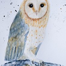 My project for course: Naturalist Watercolor with Expression and Personality. Un progetto di Illustrazione tradizionale, Pittura ad acquerello e Illustrazione naturalistica di Denise DESENEPART - 23.01.2023