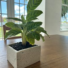 Mi proyecto del curso: Diseño y creación de muebles curvos en concreto. Arts, Crafts, Furniture Design, Making, Interior Design, Interior Decoration, and DIY project by Stephanie Cancel - 01.23.2023
