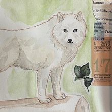 My project for course: Animal Illustration: Capturing Wildlife in a Sketchbook. Projekt z dziedziny Trad, c, jna ilustracja,  Kolaż, Sketchbook, Ilustracja naturalist i czna użytkownika Pannita Mitpakdee - 23.01.2023