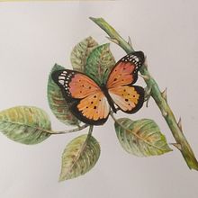 My project for course: Naturalistic Illustration in Watercolor and Gouache. Projekt z dziedziny  Sztuki piękne,  Malarstwo, Malowanie akwarelą, R, sunek botaniczn, Ilustracja naturalist, czna i Malowanie gwaszami użytkownika hartjane01 - 24.01.2023