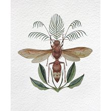 Meu projeto do curso: Ilustração naturalista com guache e aquarela / Vespa Crabro. Un proyecto de Bellas Artes, Pintura, Pintura a la acuarela, Ilustración botánica, Ilustración naturalista				 y Pintura gouache de Andrea Tostes - 24.01.2023