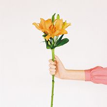 BLUME for VEIN Magazine (2021). Un projet de Direction artistique , et Photographie de mode de Clara Serrano - 24.01.2023