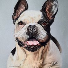 Retrato Animales (Lápices Colores). Un proyecto de Ilustración tradicional, Bellas Artes, Dibujo con lápices de colores, Dibujo artístico, Diseño y Dibujo realista de nenetuya - 24.01.2023