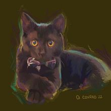 My project for course: Realistic Chalk Pastel Portraits. Ilustração tradicional, Artes plásticas, Desenho, Desenho de retrato, e Desenho realista projeto de a.conrad.r - 28.01.2023