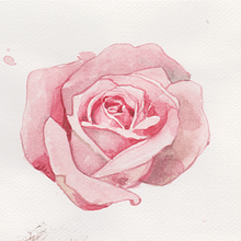 Il mio progetto del corso: Tecniche applicate di illustrazione ad acquerello. Un progetto di Illustrazione tradizionale, Belle arti, Pittura e Pittura ad acquerello di Giorgia Bianco - 01.01.2023