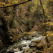 Kamačnik. Projekt z dziedziny Fotografia użytkownika Nives B - 25.01.2023