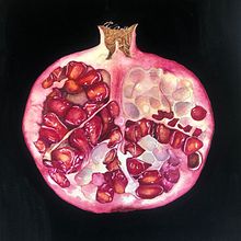 Botanical Illustration of a Pomegranate. Een project van  Beeldende kunst van leila_ali_artstudio - 25.01.2023