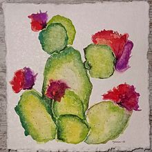 Cactus . % Gemma Aurich Muntané tarafından hazırlanan Sulubo, Ve a Resim projesi - 01.25.2023