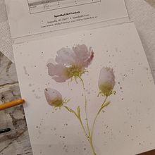 1st Year of Watercolor Painting - Mostly from tutorials. Painting project by Lauren Gregory - 01.26.2023