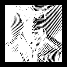 My project for course: Manual Printing for Photopolymer Stamps. Arts, Crafts, Fine Arts, Screen Printing, Printing, Engraving, Textile Printing, Design, and Traditional illustration project by Jose Robles Cintron - 01.26.2023
