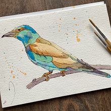 Mein Abschlussprojekt für den Kurs: Illustriere Vögel mit expressiven Aquarelltechniken. Een project van Traditionele illustratie, Aquarelschilderen, Realistische tekening y Naturalistische illustratie van chaosimkopf - 26.01.2023