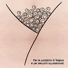 il Fuffidiario . % Emily Silvestri tarafından hazırlanan Tasarım, Geleneksel illüstras, on, Ve Resimli kitap projesi - 01.26.2023