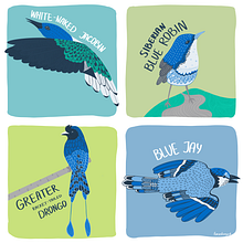 inspired by birds. Traditional illustration project by Anastasiia Taraskevych - 10.26.2022