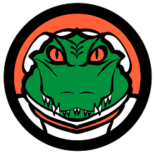 Alligator publishing. Design, UX / UI, Web Design e Ilustração tradicional projeto de Noel Antonio Cabrera Fernandez - 28.01.2023