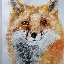 Fox. Een project van Traditionele illustratie van Yanet Morales - 28.01.2023