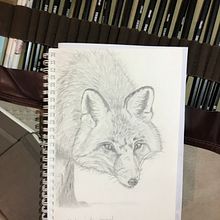 Mon projet du cours : Dessin naturaliste d'animaux au crayon graphite. Projekt z dziedziny Trad, c, jna ilustracja, R, sunek ołówkiem,  R, sunek, Ilustracja naturalist i czna użytkownika cobristan - 25.01.2023