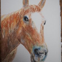 My project for course: Expressive Animal Portraits in Watercolor. Un progetto di Illustrazione tradizionale, Pittura ad acquerello, Disegno realistico e Illustrazione naturalistica di cowern-t - 29.01.2023