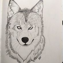 Ilustración lobo Ein Projekt aus dem Bereich Traditionelle Illustration von Alexia Correas Zapardiel - 29.01.2023