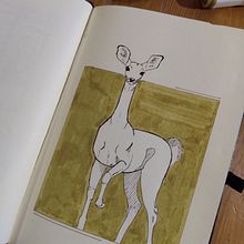My project for course: Animal Illustration: Capturing Wildlife in a Sketchbook Ein Projekt aus dem Bereich Traditionelle Illustration, Collage, Sketchbook und Naturalistische Illustration von bietieboe - 29.01.2023