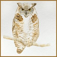 Petit hibou sur sa branche. Un projet de Illustration traditionnelle , et Aquarelle de Karine LaSalle - 30.01.2023