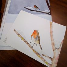 Pettirosso: illustrazione naturalistica acquerello . Un proyecto de Dibujo, Ilustración tradicional, Pintura a la acuarela e Ilustración naturalista				 de sorelle_mason - 25.01.2023