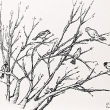 Mój projekt z kursu: Sztuka szkicowania: przekształć szkice w dzieła sztuki Ein Projekt aus dem Bereich Traditionelle Illustration, Bleistiftzeichnung, Zeichnung und Sketchbook von Ewa Jacyno - 30.01.2023