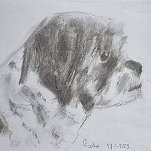 Mijn project van de cursus: Leer dieren illustreren met houtskool en inkt. Fine Arts, Drawing, Ink Illustration, and Naturalistic Illustration project by Gusta Rinzema - 01.30.2023