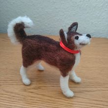 Mi proyecto del curso: Creación de animales con needle felting. Arts, Crafts, To, Design, Fiber Arts, Needle Felting, Textile Design, Advertising, and Game Design project by Amilcar Vicente Blanco Vargas - 01.30.2023