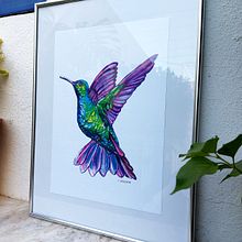 Tienda online de Lola Azcoytia. Series "Pájaros". Colibrí. Traditional illustration, Advertising, Art Direction, Br, ing, Identit, Arts, Crafts, Creative Consulting, Design Management, Events, Fine Arts, Graphic Design, Marketing, Multimedia, Painting, Social Media, Pattern Design, Creativit, Product Photograph, Watercolor Painting, Digital Marketing, Printing, Instagram, Content Marketing, Facebook Marketing, Interior Decoration, E-commerce, Commercial Photograph, Instagram Photograph, Communication, Social Media Design, Instagram Marketing, Naturalistic Illustration, Decorative Painting, and Business project by Lola Azcoytia Ortiz de Galisteo Martínez de Azcoytia - 01.30.2023
