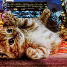 Montaje con Affinity Photo. Design project by Pedro Samuel Rodríguez - 01.28.2023