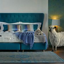 TVC Harrison Spinks Sheep Commercial. Un progetto di Cinema, video e TV di Andrew Entwistle - 11.12.2018