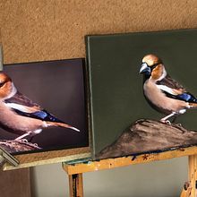 My project for course: Classical Oil Painting for Naturalist Bird Portraiture Ein Projekt aus dem Bereich Bildende Künste, Malerei, Ölmalerei und Naturalistische Illustration von Janine Joles - 31.01.2023