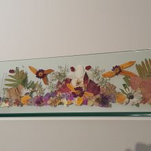 Mi proyecto del curso: Técnicas básicas de prensado botánico. Een project van Craft,  Beeldende kunst, Collage, DIY y Bloem- en plantenschikken van Marta Fabrellas Carreras - 31.01.2023