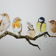 Mein Abschlussprojekt für den Kurs: Illustriere Vögel mit expressiven Aquarelltechniken. Projekt z dziedziny Trad, c, jna ilustracja, Malowanie akwarelą, R, sunek realist, czn, Ilustracja naturalist i czna użytkownika kerstin13 - 31.01.2023