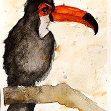 Premières aquarelles. Un progetto di Pittura di Alice - 31.01.2023