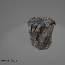 Fotogrametría a Tronco Ein Projekt aus dem Bereich 3D, 3-D-Modellierung, Videospiele, 3-D-Design und Design für Videospiele von Leonardo Contreras Camacho - 30.01.2023