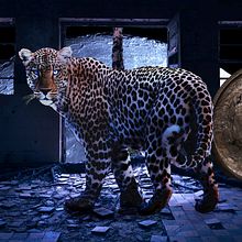 My project for course: Secrets of Photomontage and Creative Retouching. Photograph, Photograph, Post-production, VFX, Photo Retouching, Fine-Art Photograph, Photographic Composition, and Photomontage project by Edan Jacobie - 12.29.2022