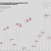 Percentages of young and elderly per population in 2021 in the top 20 most-populated countries. Graphic Design, Information Design, Interactive Design & Infographics project by mattia.baffari - 02.01.2023