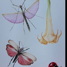 Mi proyecto del curso: Diario naturalista en acuarela. Watercolor Painting, Botanical Illustration, and Naturalistic Illustration project by beatrizasinl - 02.01.2023