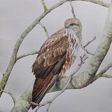 Poiana. Traditional illustration, Fine Arts, and Painting project by carlsym75 - 02.02.2023