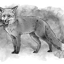 Ilustraciones realizadas para el libro 25 años de campamentos de Greenpeace. Un proyecto de Ilustración tradicional de Salva Ferrando - 02.02.2023