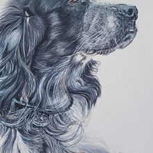 Meu projeto do curso: Retratos expressivos de animais em aquarela Ein Projekt aus dem Bereich Traditionelle Illustration, Aquarellmalerei, Realistische Zeichnung und Naturalistische Illustration von Bruna Melo - 02.02.2023