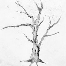 DA - Examen y estudio de árboles. Traditional illustration, and Drawing project by Martina Díaz Vilar - 02.03.2023