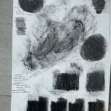 My project for course: Animal Illustration with Charcoal and Ink. Fine Arts, Drawing, Ink Illustration, and Naturalistic Illustration project by Bev Barends - 02.03.2023