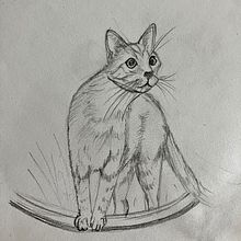 Progresser au dessin . Ilustrație tradițională, Desen în creion, Desen, Ilustrație digitală, Desen de portret și Desen artistic de Em' - 02.03.2023