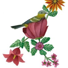 Mi proyecto del curso: Acuarela realista para composiciones botánicas : El descanso del pajaro.. Een project van Schilderij,  Tekening, Aquarelschilderen,  Botanische illustratie y Traditionele illustratie van Rocio martinez - 07.02.2023