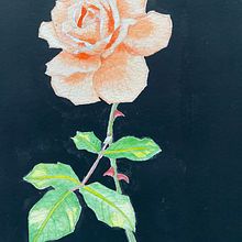 My project for course: Botanical Illustration with Watercolors. Ilustração tradicional, Pintura, Desenho, Pintura em aquarela, Ilustração botânica, e Artes plásticas projeto de mj.almeida.2 - 03.02.2023