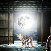 Mi proyecto del curso: Secretos del fotomontaje y el retoque creativo Ein Projekt aus dem Bereich Fotografie, Bildbearbeitung, VFX, Fotoretuschierung, Artistische Fotografie, Fotografische Komposition und Fotomontage von coronado - 08.02.2023